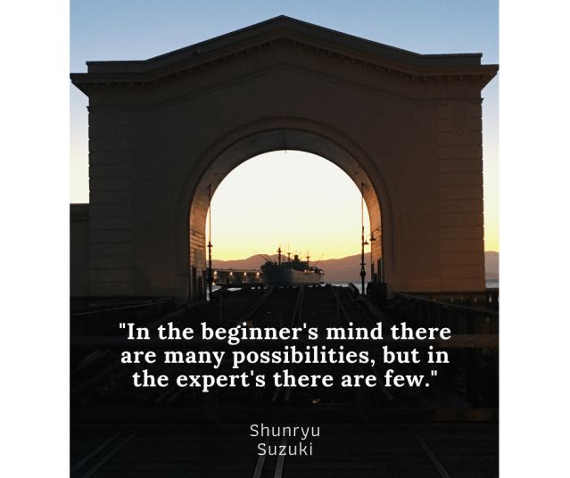 In the beginner's mind there are many possibilities, but in the expert's there are few.