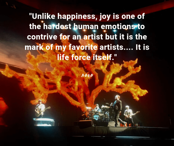 Bono Joy(1)-2